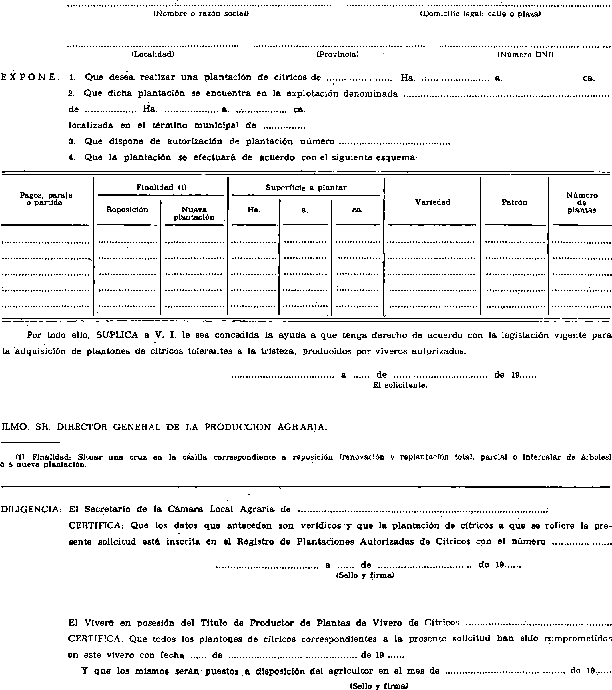 Imagen: /datos/imagenes/disp/1981/135/12883_15867458_image1.png