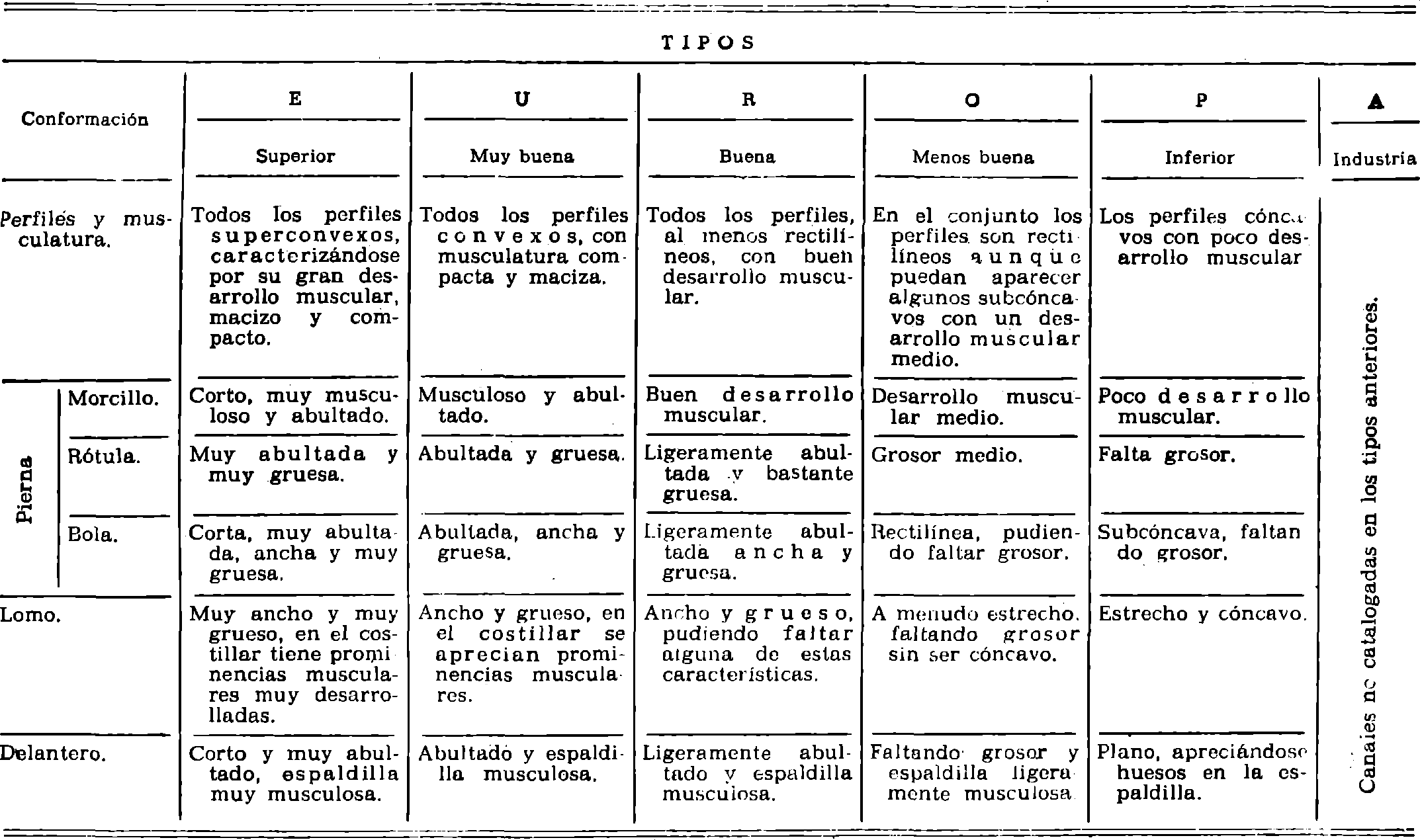Imagen: /datos/imagenes/disp/1982/79/08168_17089993_image1.png