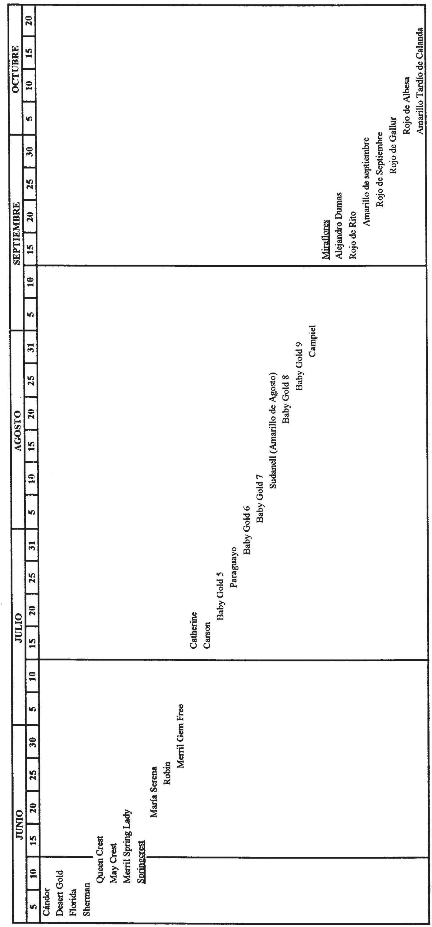Imagen: /datos/imagenes/disp/1998/312/30147_15732777_image1.png