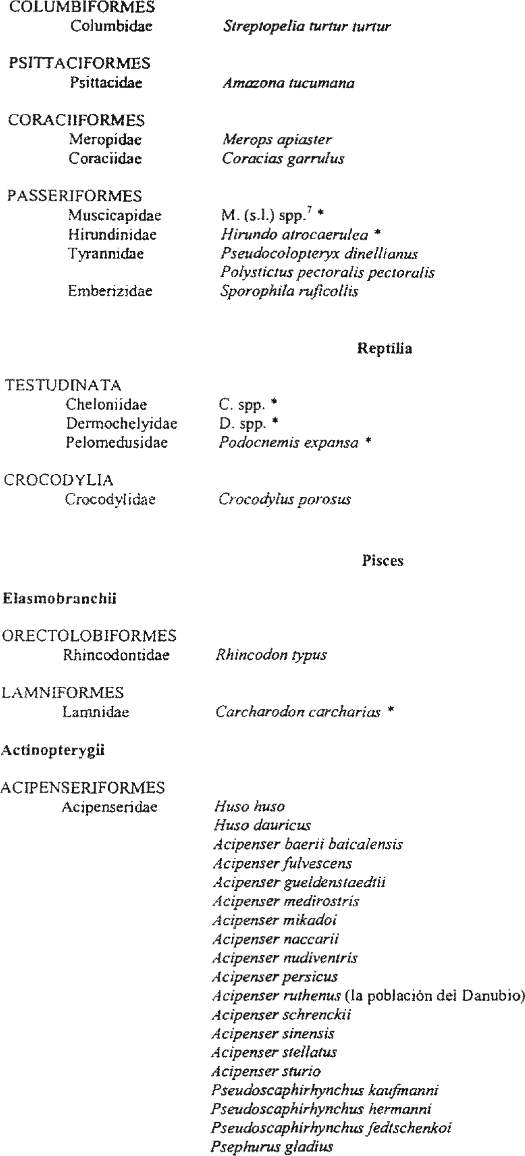 Imagen: /datos/imagenes/disp/2003/175/14670_7483291_image9.png