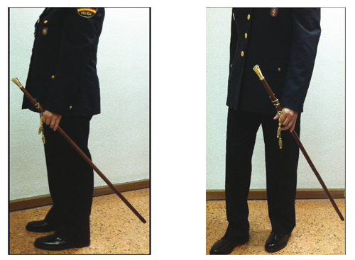BOE.es - BOE-A-2014-2997 Orden INT/430/2014, de 10 de marzo, por la que se  regula la uniformidad en el Cuerpo Nacional de Policía.