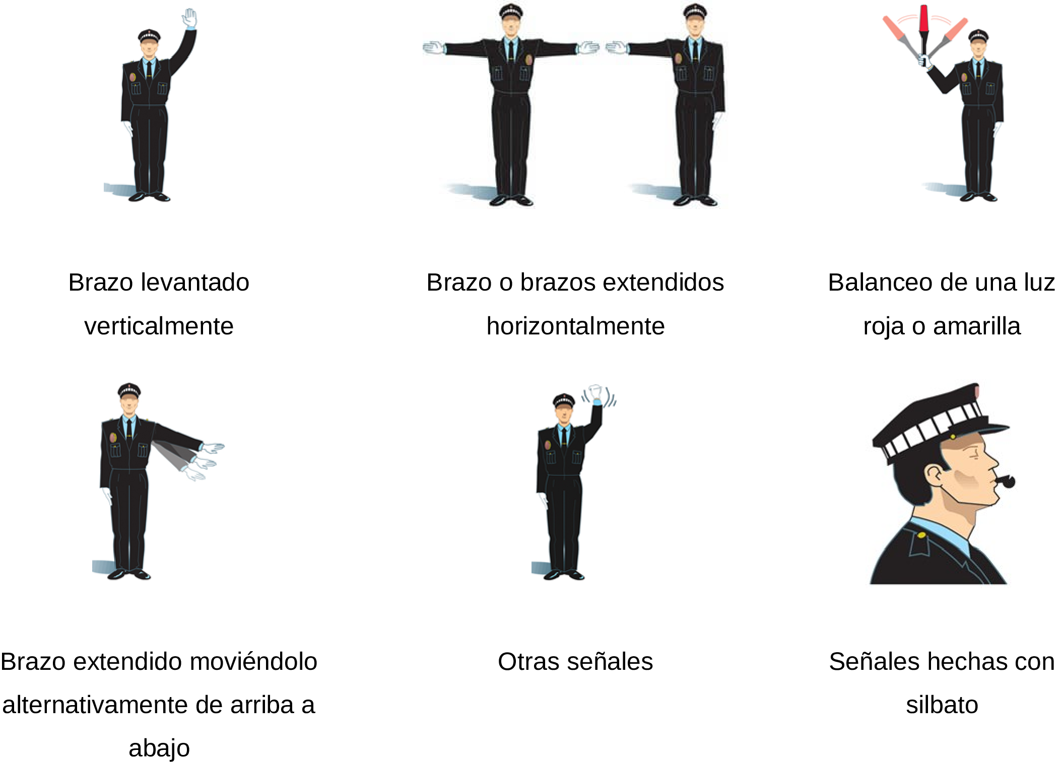 Imagen: /datos/imagenes/disp/2025/145/12199_15779007_1.png