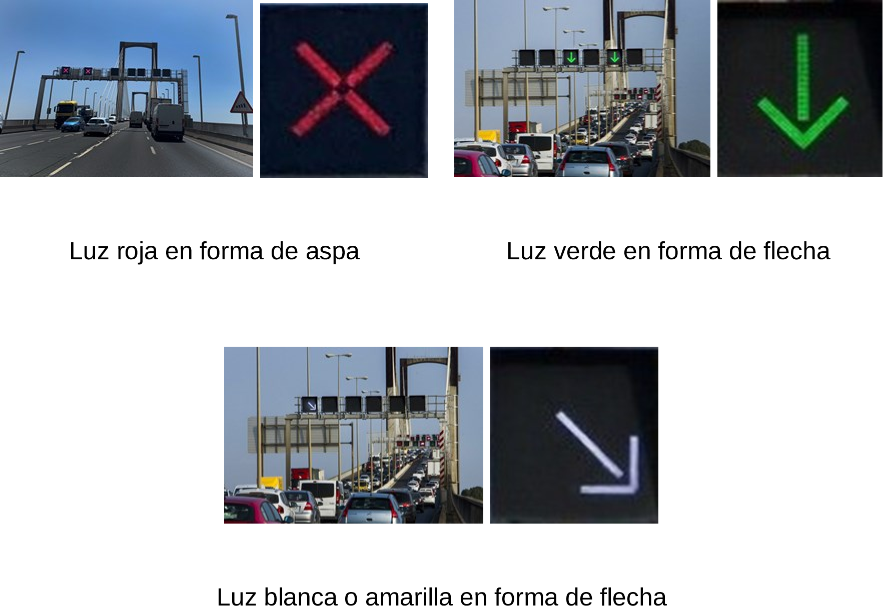 Imagen: /datos/imagenes/disp/2025/145/12199_15779007_11.png