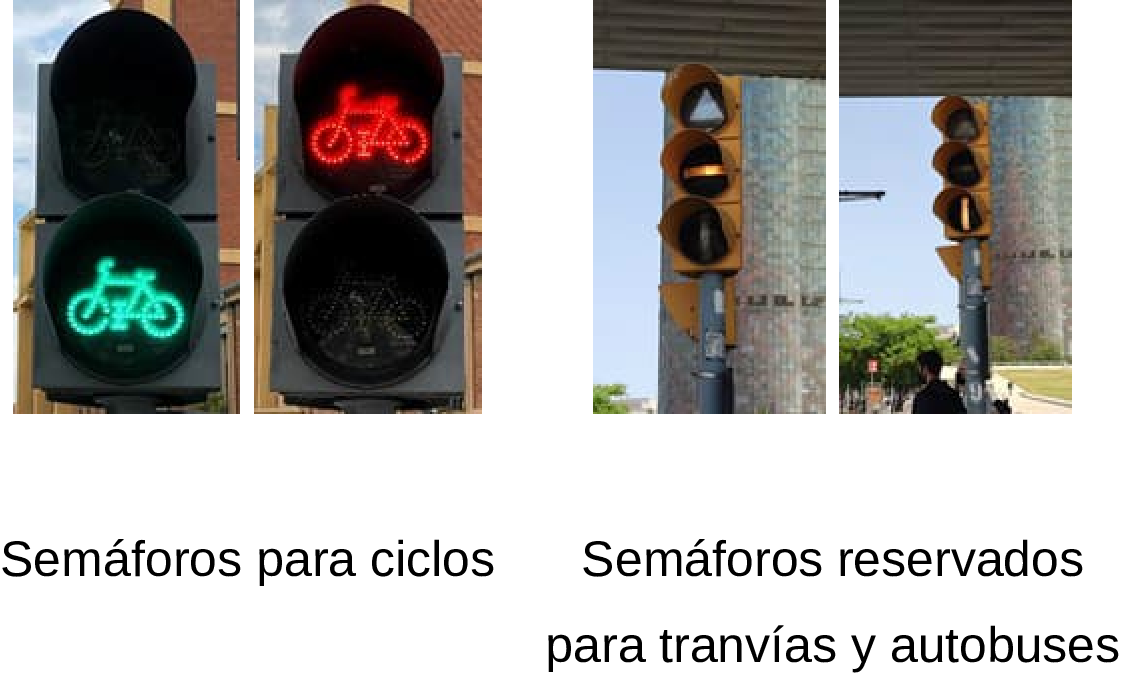 Imagen: /datos/imagenes/disp/2025/145/12199_15779007_12.png