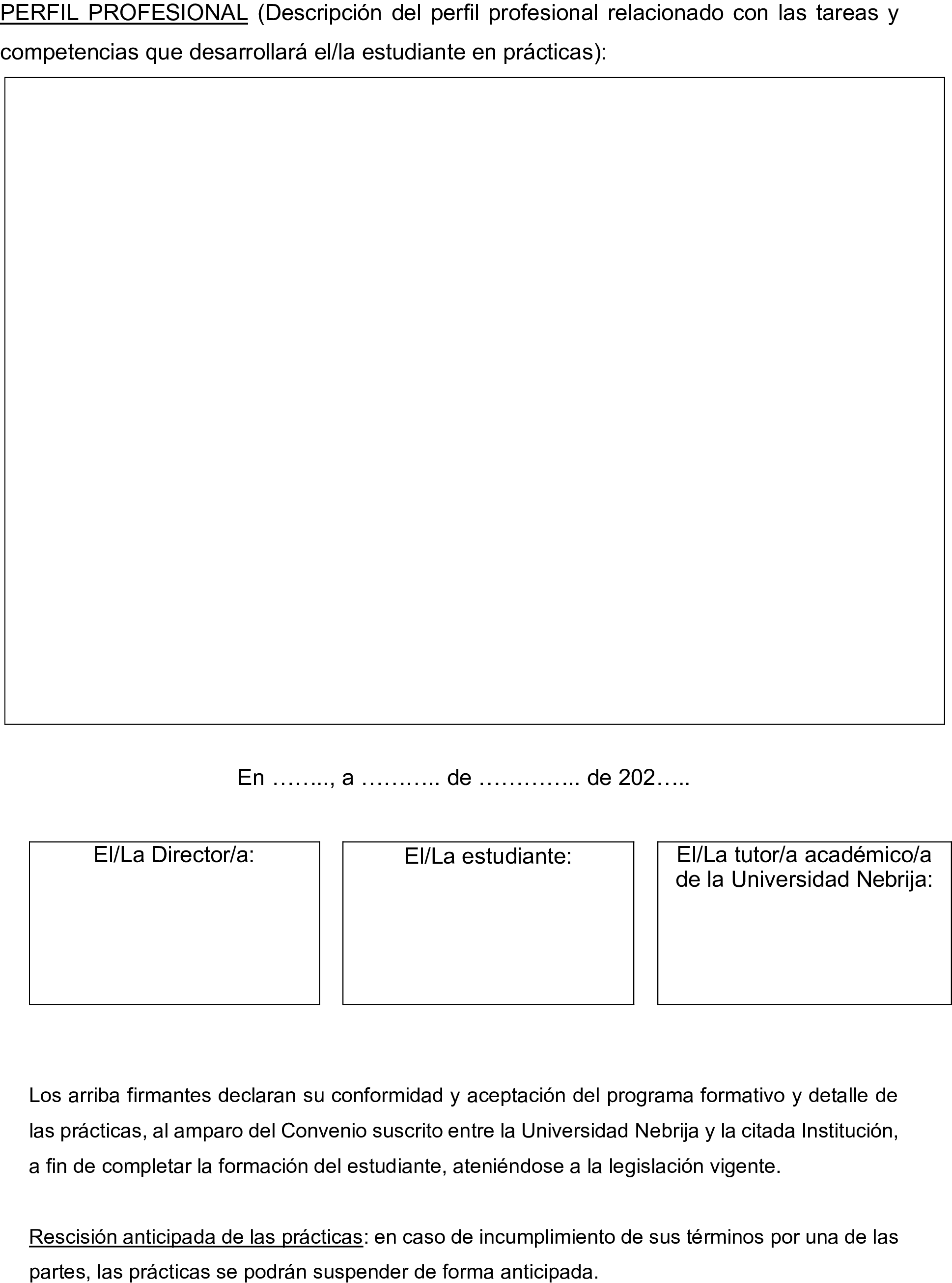 Imagen: /datos/imagenes/disp/2026/1/42_16486181_2.png