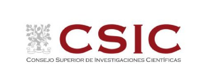 Imagen: /datos/imagenes/disp/2026/144/12867_17126861_2.png