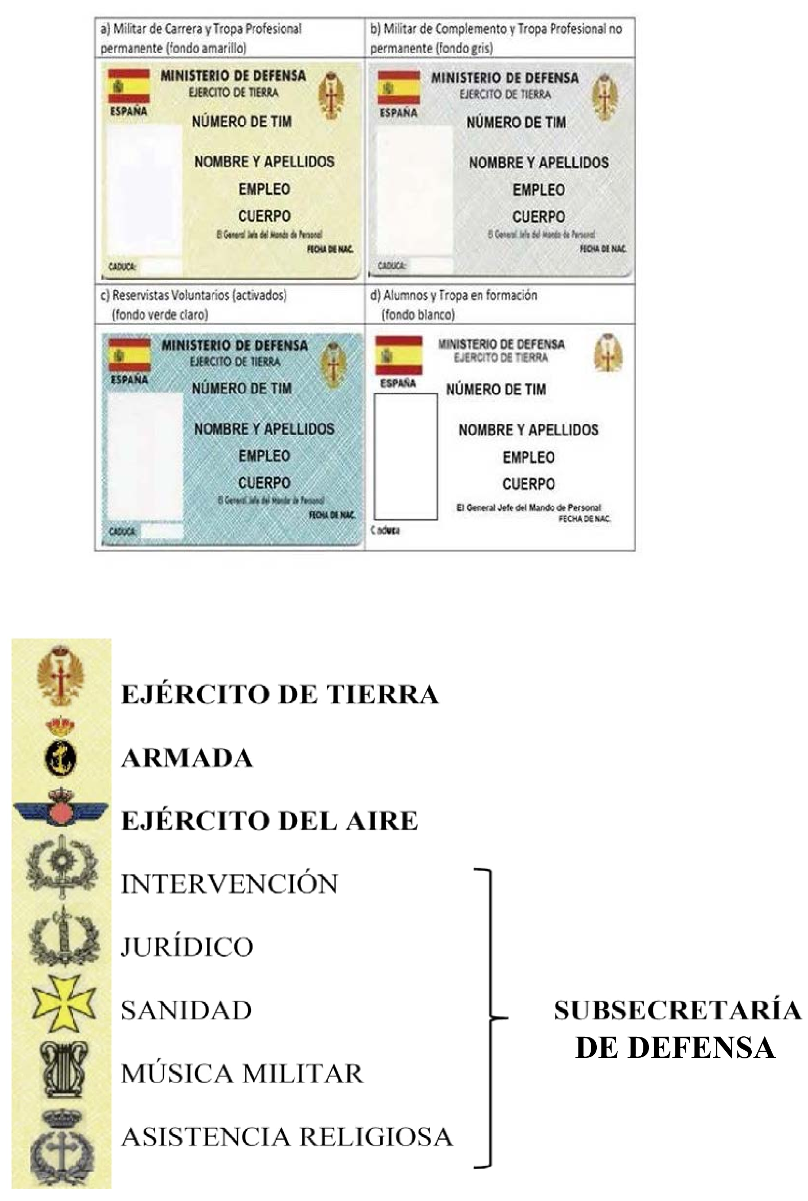 Imagen: /datos/imagenes/disp/2026/170/15366_17224801_1.png