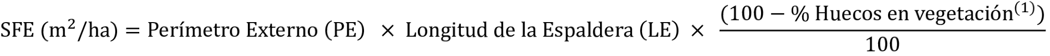 Imagen: /datos/imagenes/disp/2026/205/18005_17354143_1.png