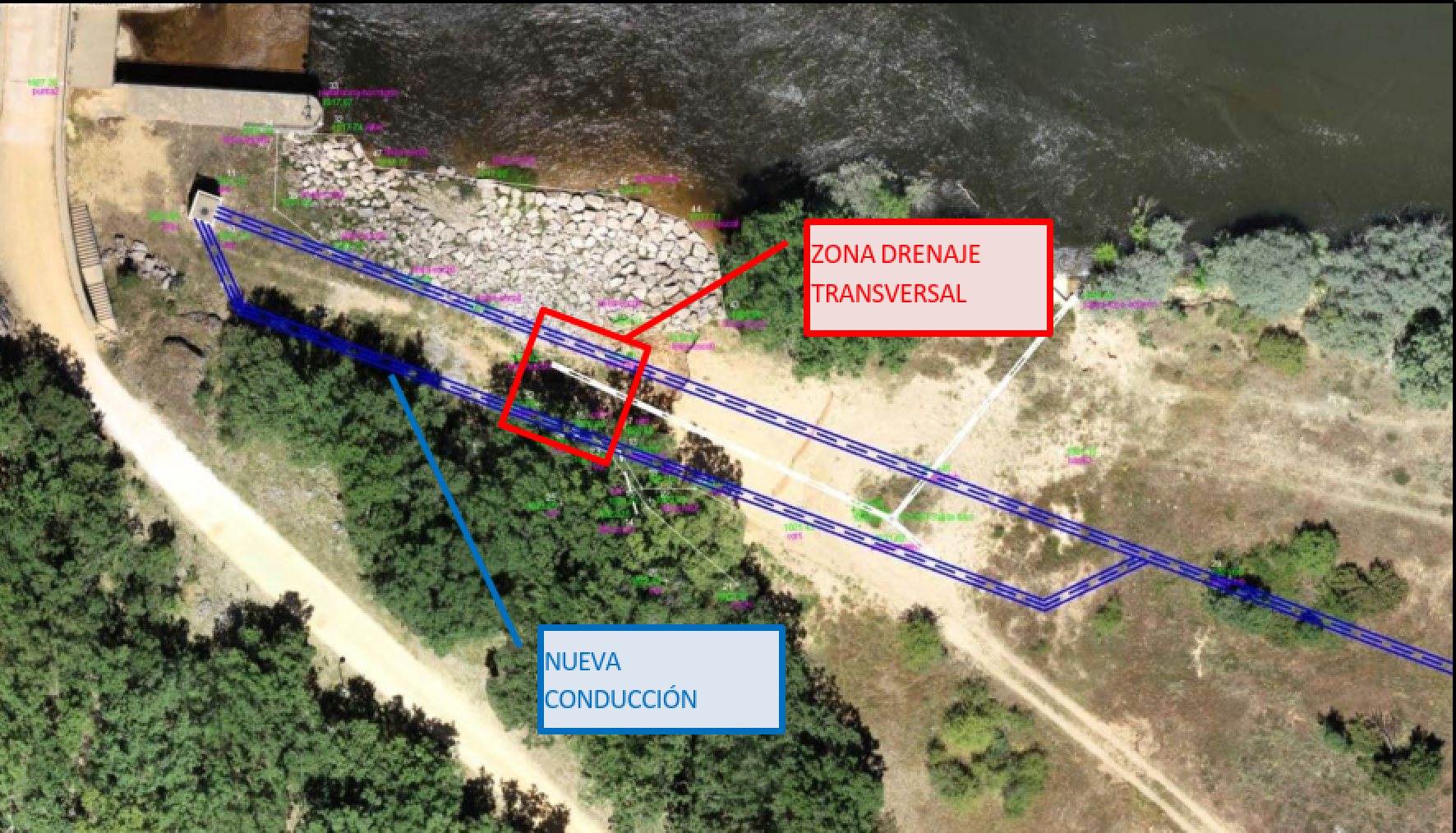 Imagen: /datos/imagenes/disp/2026/53/4765_16697576_1.png