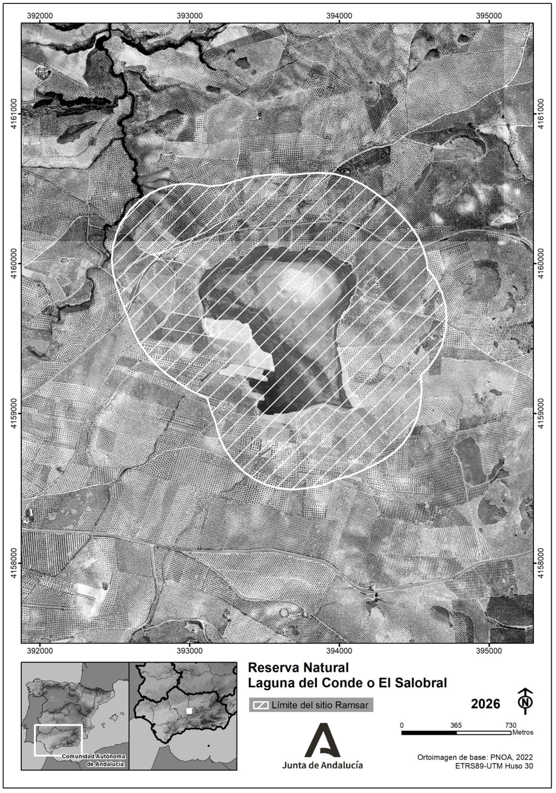 Imagen: /datos/imagenes/disp/2026/84/7802_16837479_2.png