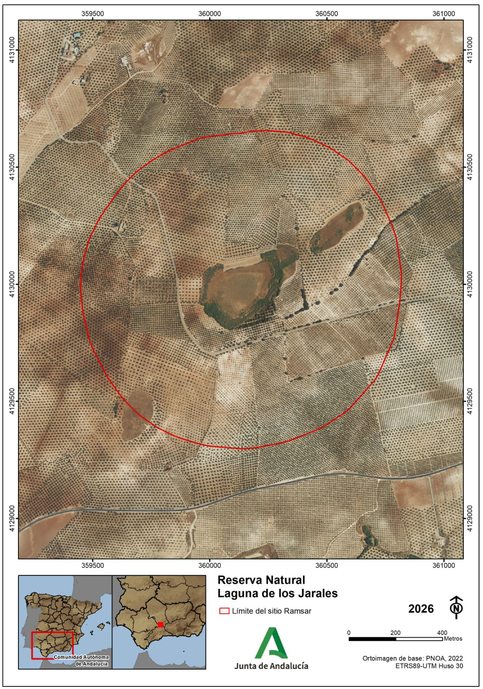 Imagen: /datos/imagenes/disp/2026/84/7802_16837479_3.png